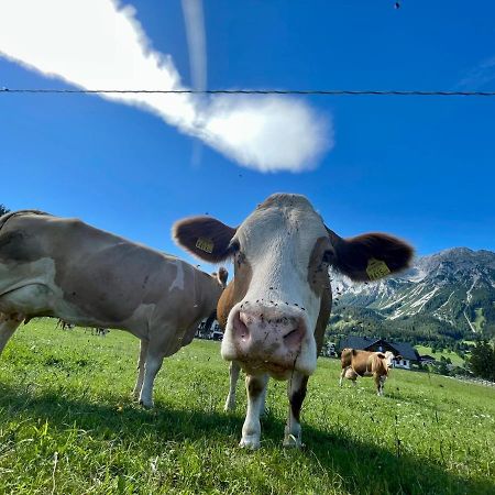 Pension Moeslehnerhof Ramsau am Dachstein Εξωτερικό φωτογραφία