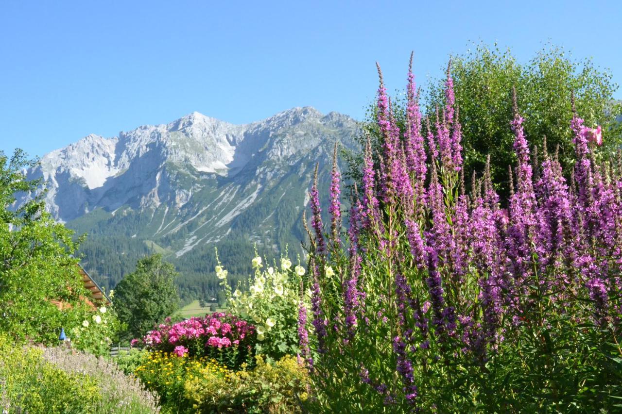 Pension Moeslehnerhof Ramsau am Dachstein Εξωτερικό φωτογραφία
