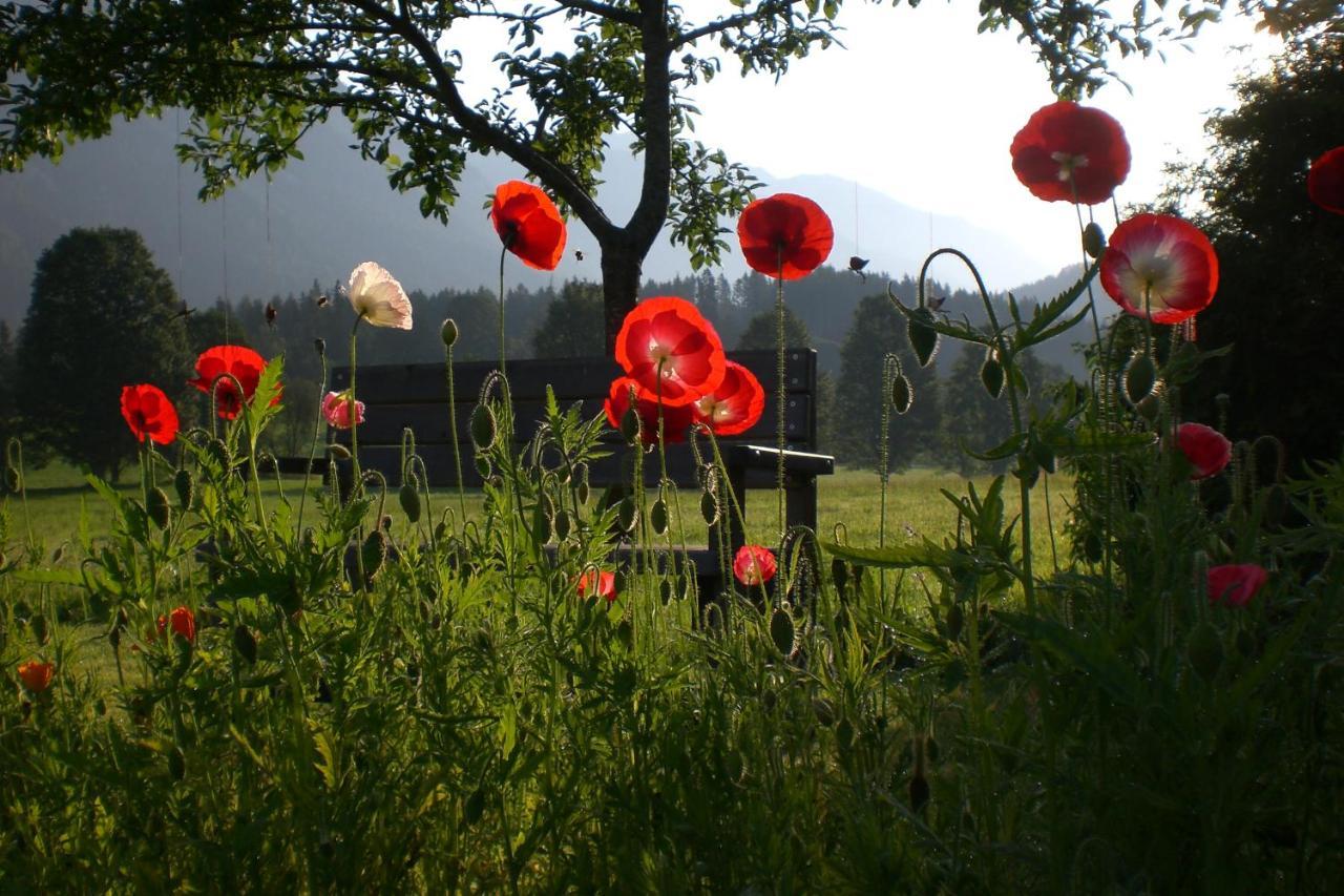 Pension Moeslehnerhof Ramsau am Dachstein Εξωτερικό φωτογραφία