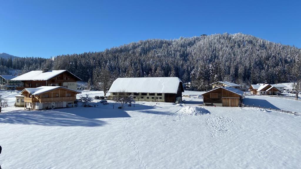 Pension Moeslehnerhof Ramsau am Dachstein Εξωτερικό φωτογραφία