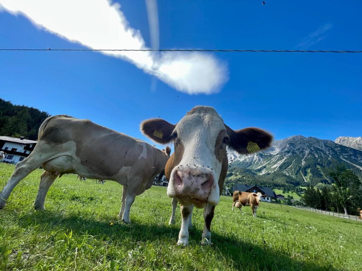 Pension Moeslehnerhof Ramsau am Dachstein Εξωτερικό φωτογραφία